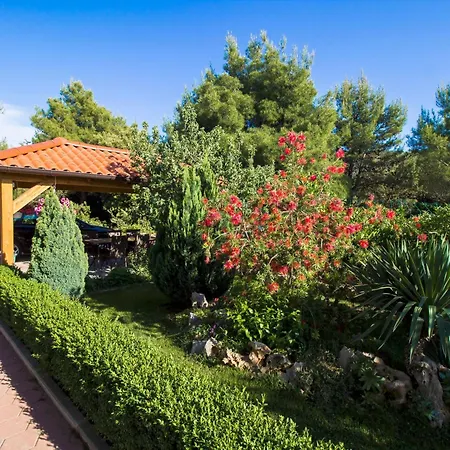 Apartment Apartmani Vesna Grebastica By Interhome Apartament *