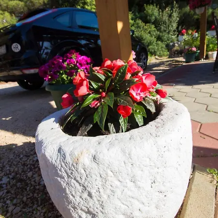 Apartament Apartment Apartmani Vesna Grebastica By Interhome *